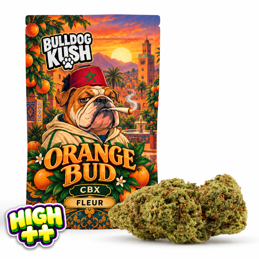 🎁 Orange Bud CBX 🍊 (100% off)
