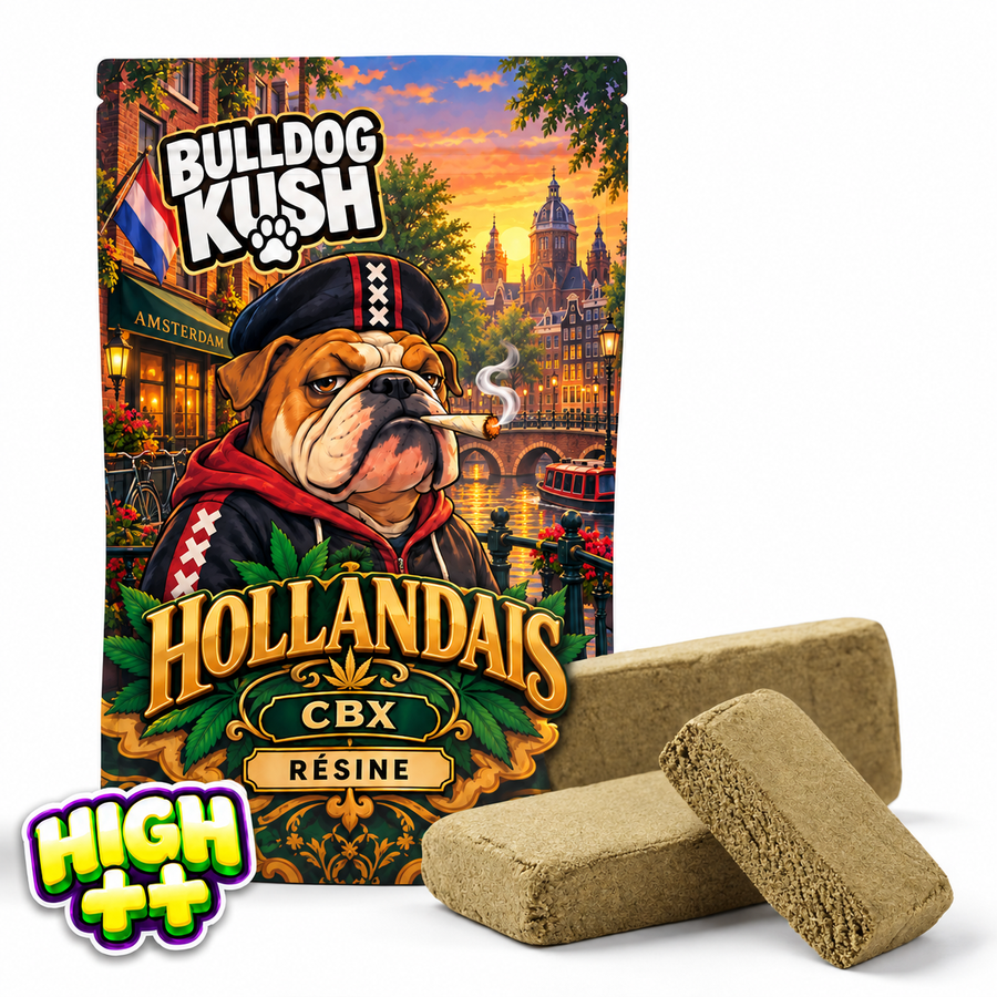 🎁 Hollandais CBX 🇳🇱 (100% off)