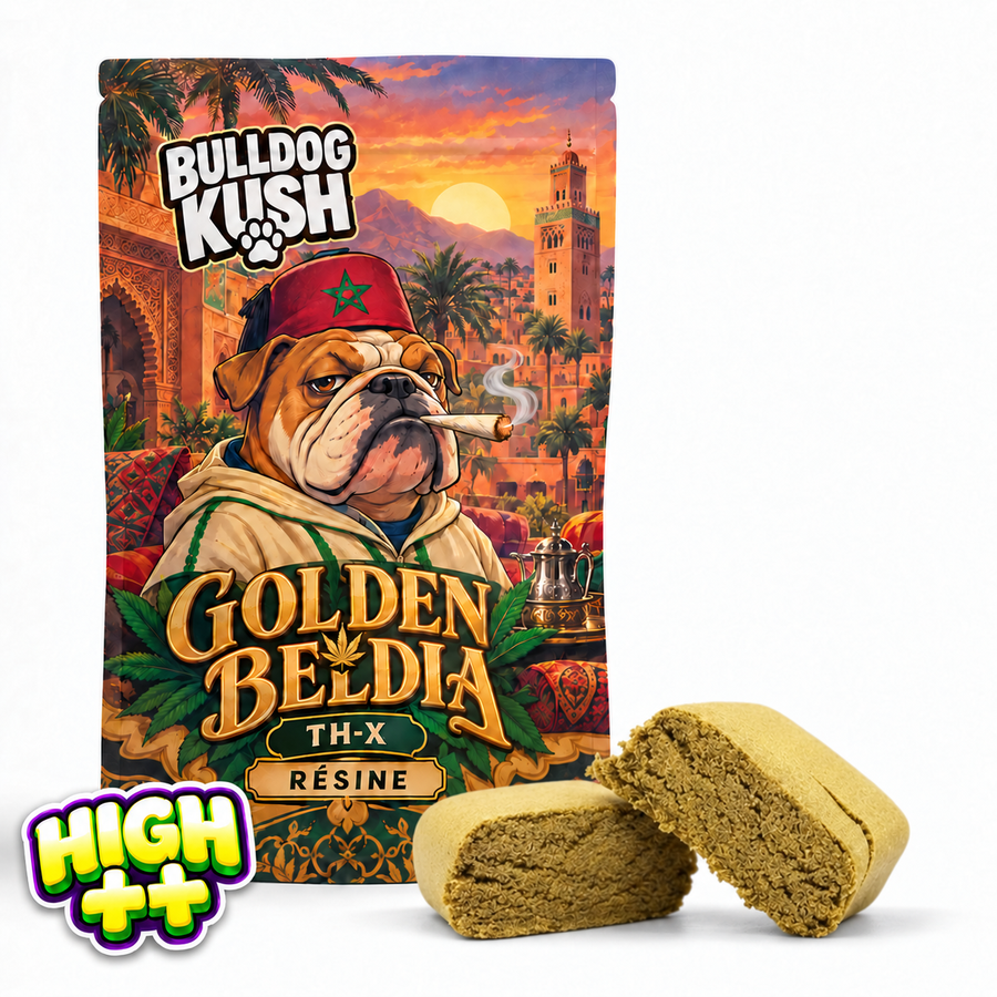 🎁 Golden Beldia TH-X 🥇 (100% off)
