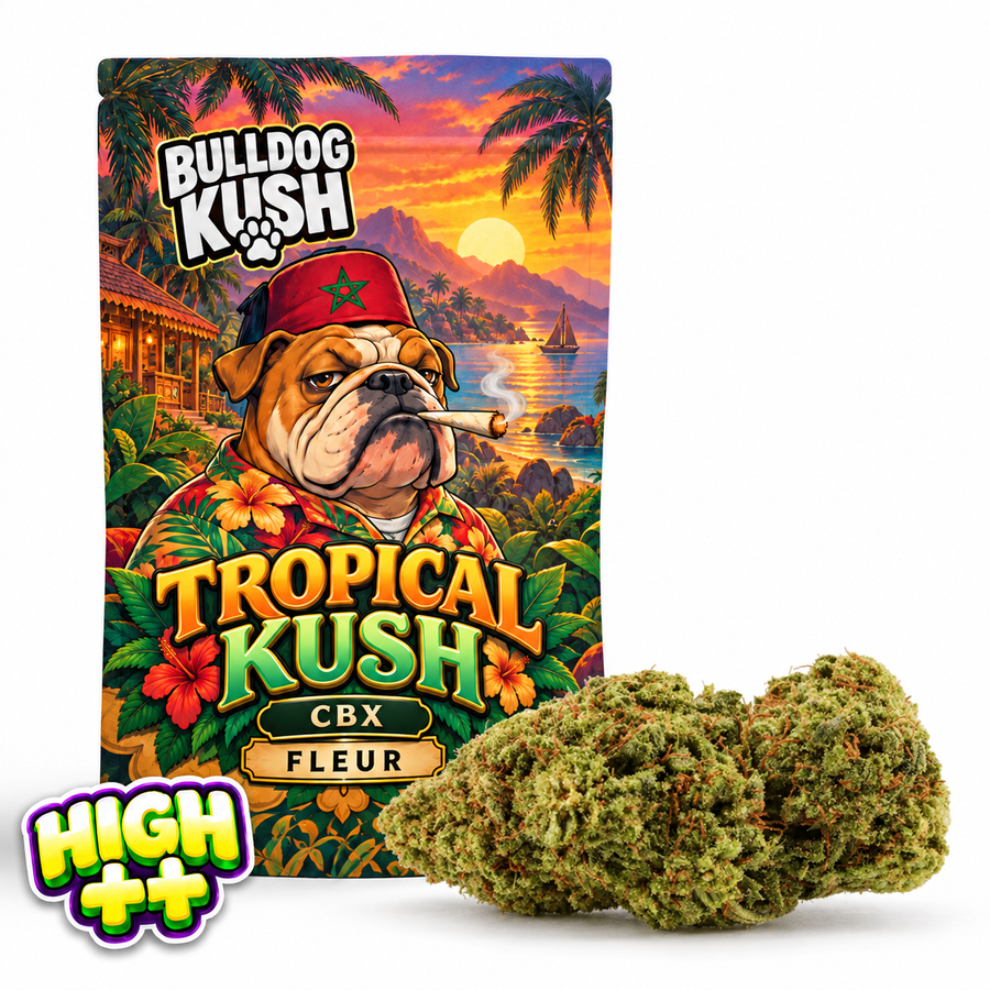 🎁 Tropical Kush CBX 🌴 (100% off)
